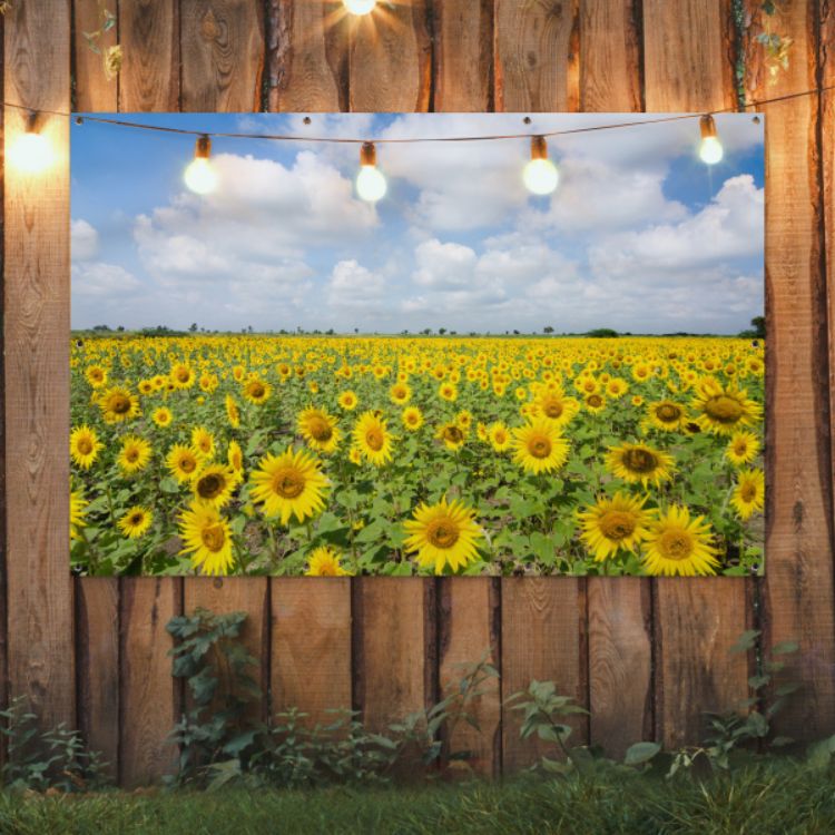 Tuinposter van zonnebloemen en wolken in de natuur