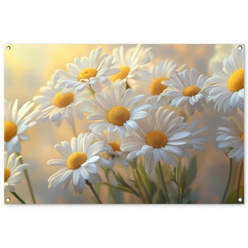 Tuinposter - Madeliefjes - Wit - Zonlicht