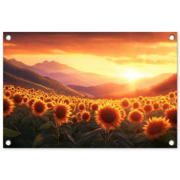 Tuinposter - Zonnebloemen - Zonsondergang - Landschap