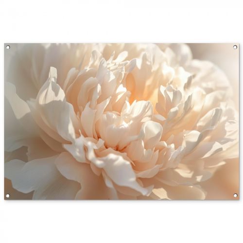 Tuinposter - Close up - Pioenroos - Lichtroze