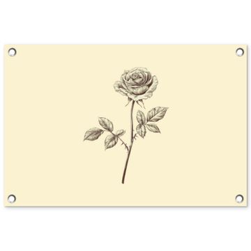 Tuinposter - Illustratie - Zwart - Roos