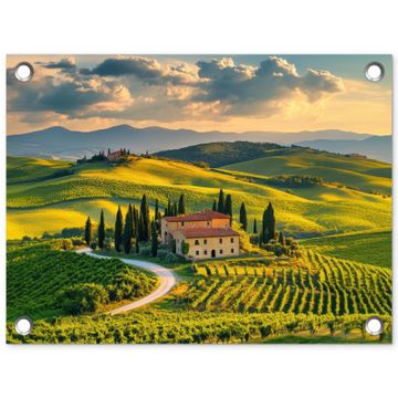 Toscane - Landschap - Wijngaarden