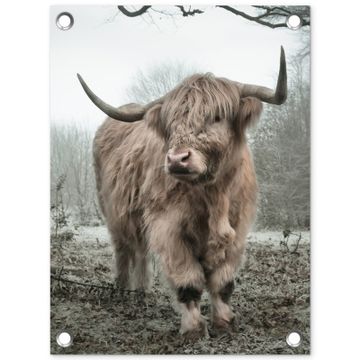 Tuinposter - Hooglander in de Mist
