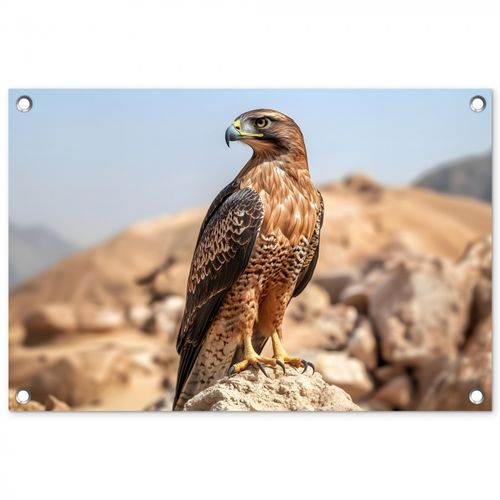 Tuinposter - Valk - Vogel - Rots - Macht