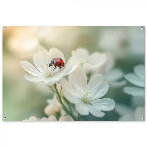 Tuinposter - Lieveheersbeestje - Bloemen - Wit