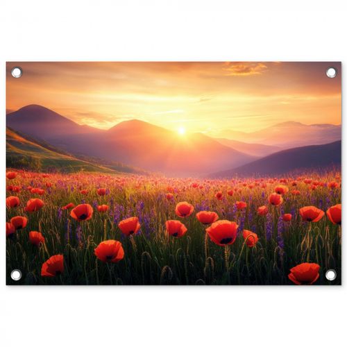Tuinposter - Landschap - Zonsondergang - Bloemenveld