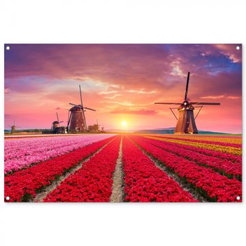 Tuinposter - Tulpenvelden met windmolens bij zonsondergang