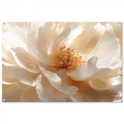Tuinposter - Close up - Pioenroos - Wit