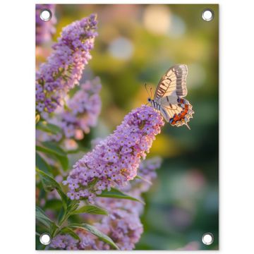 Tuinposter - Sierlijke - Vlinder - Paarse - Bloemen