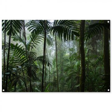 Tuinposter - Mysterieuze Tropische Woud