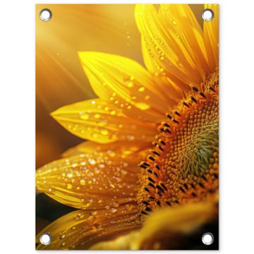 Zonnebloem - Dauwdruppels - Geel - Zonlicht