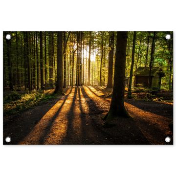Tuinposter - Avondlicht in het bos
