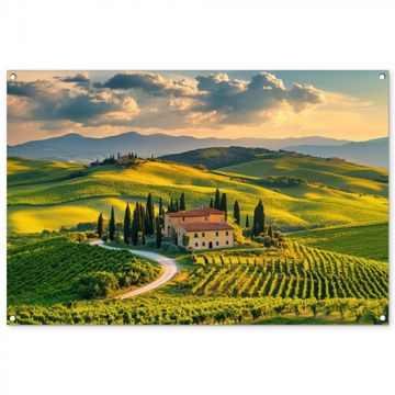 Toscane - Landschap - Wijngaarden