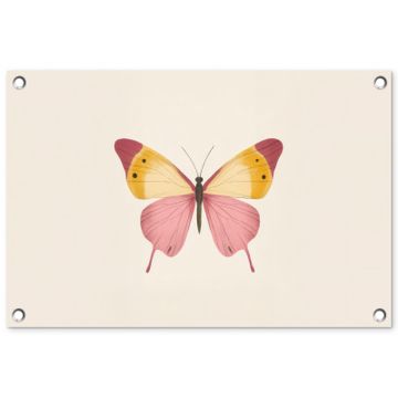 Vlinder - Illustratie - Roze