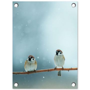 Tuinposter - Mussen in de Sneeuw