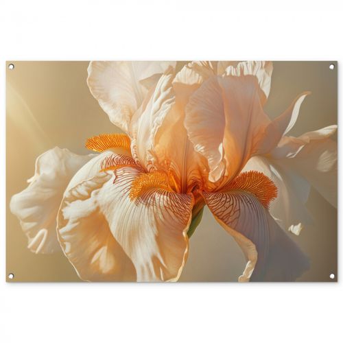 Tuinposter - Close up - Oranje - Iris