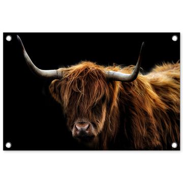 Hooglander tegen Zwarte Achtergrond
