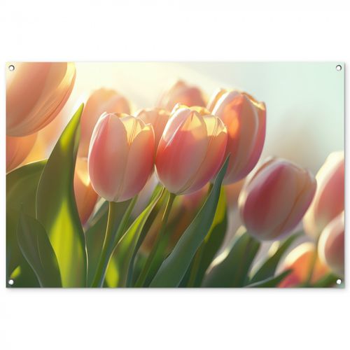 Tulpen - Roze - Zonnestralen