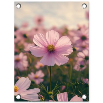 Tuinposter - Bloemen - Paars - Wazig
