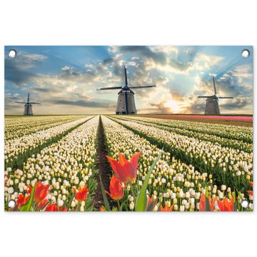 Windmolens en tulpenvelden bij zonsopgang