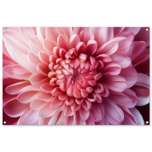 Tuinposter - Dahlia - Bloem - Close up - Roze