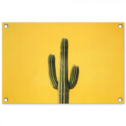 Tuinposter - Cactus - Groen - Minimalistisch