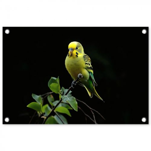 Tuinposter - Parkiet - Tak - Bladeren - Geel