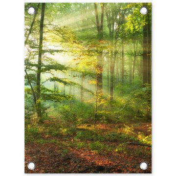 Tuinposter - Ochtendlicht in het bos