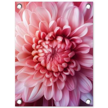 Tuinposter - Dahlia - Bloem - Close up - Roze