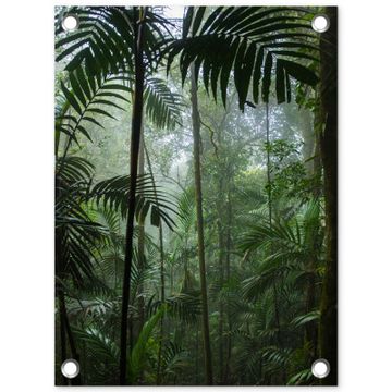 Tuinposter - Mysterieuze Tropische Woud