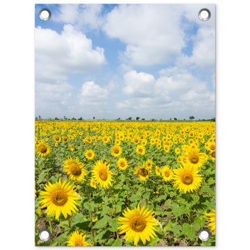 Tuinposter - Uitgestrekt veld zonnebloemen onder een blauwe hemel