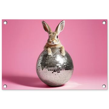 Haas - Strik -Discobal
