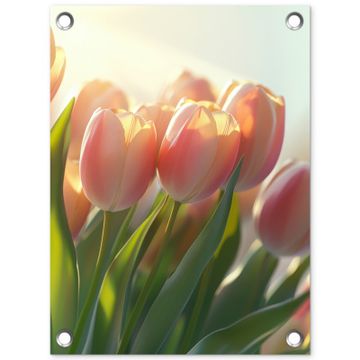 Tulpen - Roze - Zonnestralen
