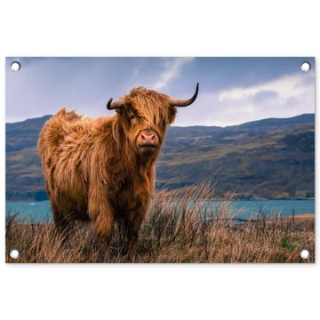 Hooglander bij het Meer