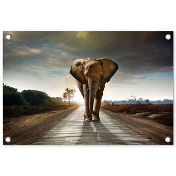 Olifant op een verlaten weg