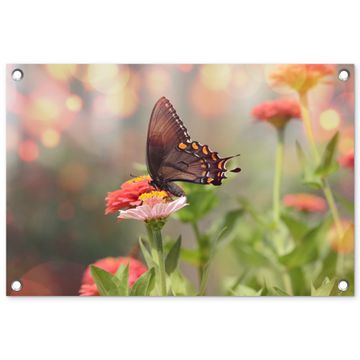 Tuinposter - Vlinder op zomerbloem