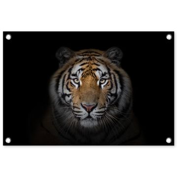 Tijger in de schaduw
