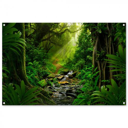 Tuinposter - Zonnige Stralen in het Regenwoud