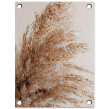 Tuinposter - Gedroogd pampasgras tegen een neutrale achtergrond