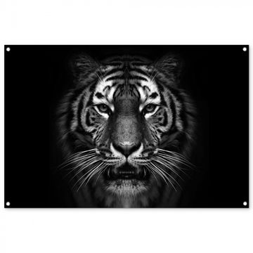 Tuinposter - Tijger in het zwart-wit