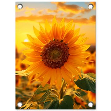 Zonnebloem in de avondzon