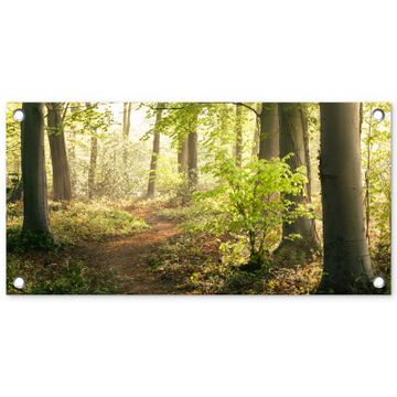 Tuinposter - Bospad bij zonsopgang