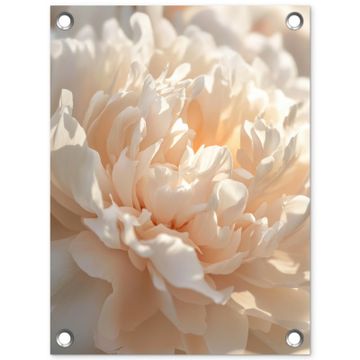 Tuinposter - Close up - Pioenroos - Lichtroze