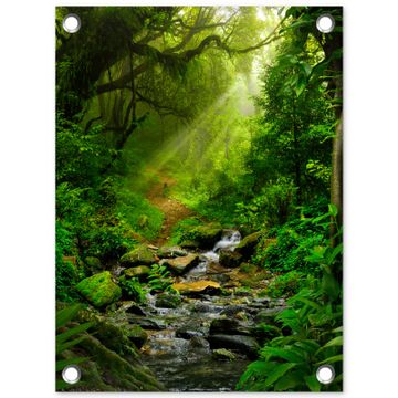 Tuinposter - Pad door het Regenwoud