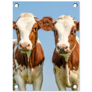 Tuinposter - Twee kalveren in de weide
