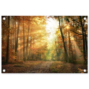 Herfstbos in gouden zonlicht