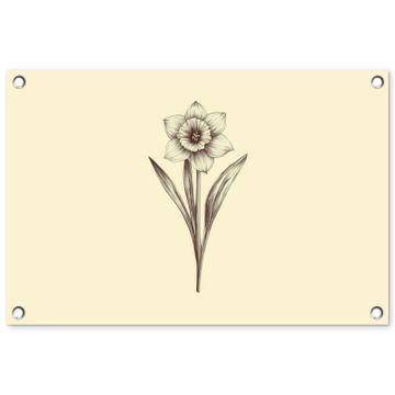 Tuinposter - Zwart - Narcis - Illustratie