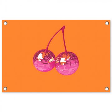 Tuinposter - Discoballen - Kers - Spiegels - Roze