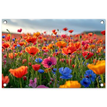Bloemenweide in volle bloei