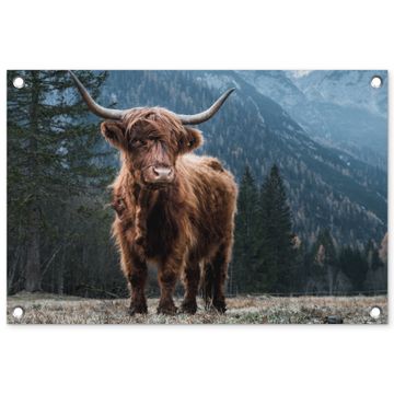 Hooglander in de Bergen